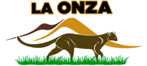 LOGO - Sin fondo PNG